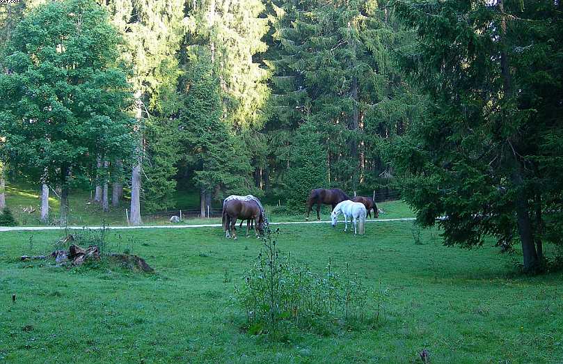 Liebenswiler  ( FRA  )     13  Agosto  2005